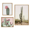 Sylvie Sunrise Cactus 3-Piece Framed Canvas Art Set