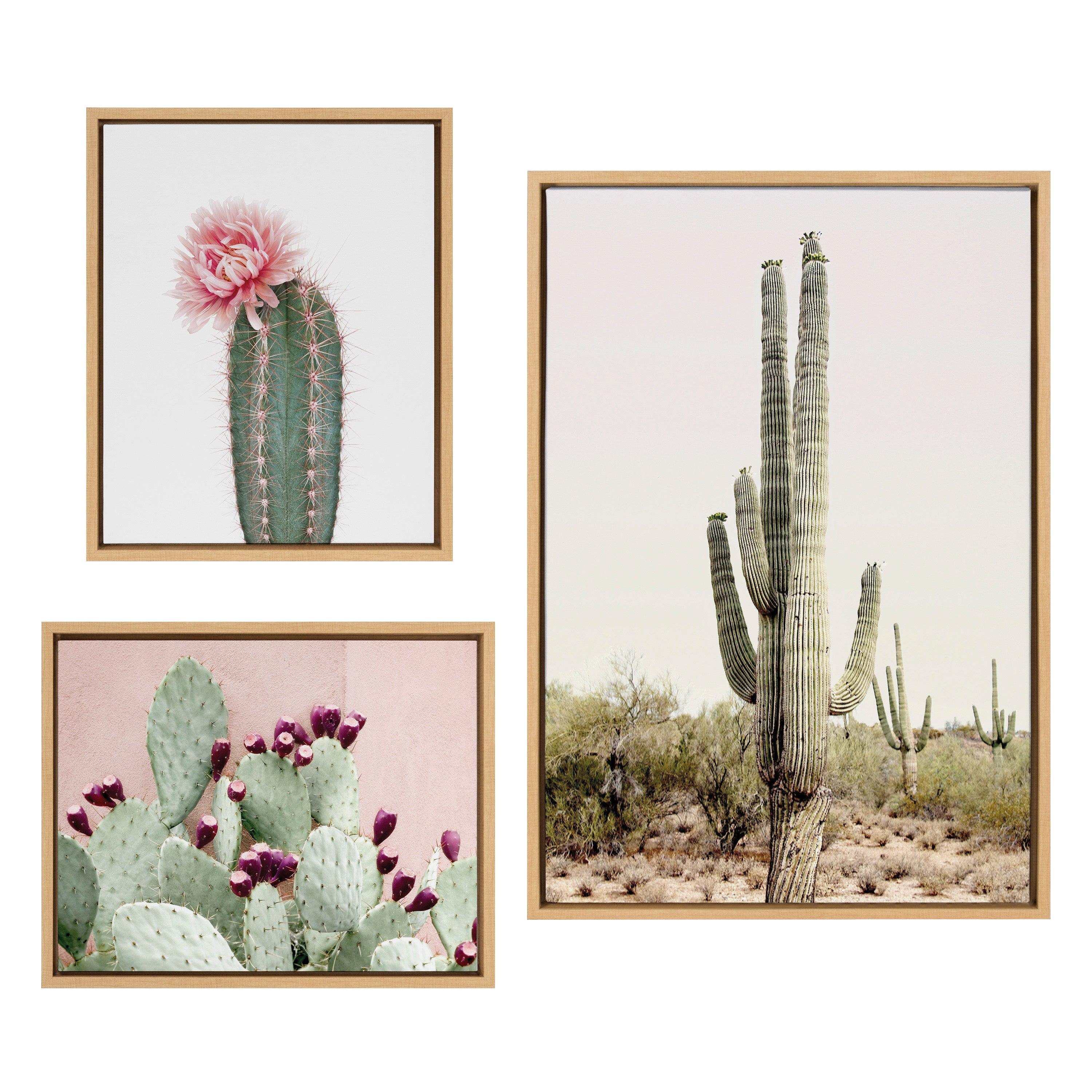 Sylvie Sunrise Cactus 3-Piece Framed Canvas Art Set