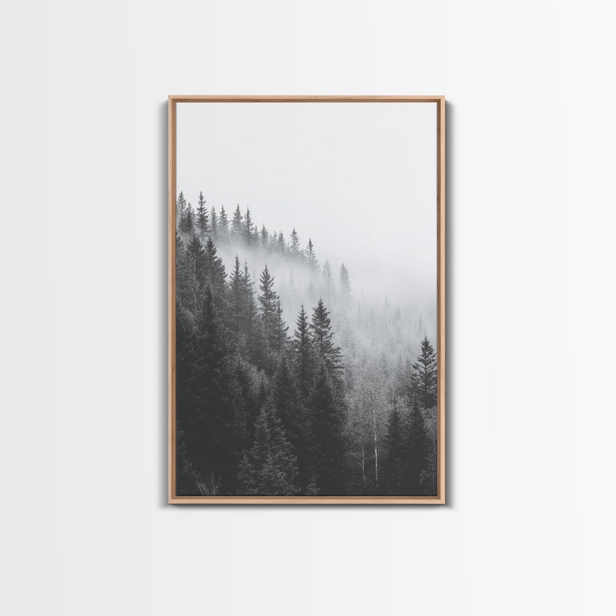 Misty pine forest canvas gallery-wrap view