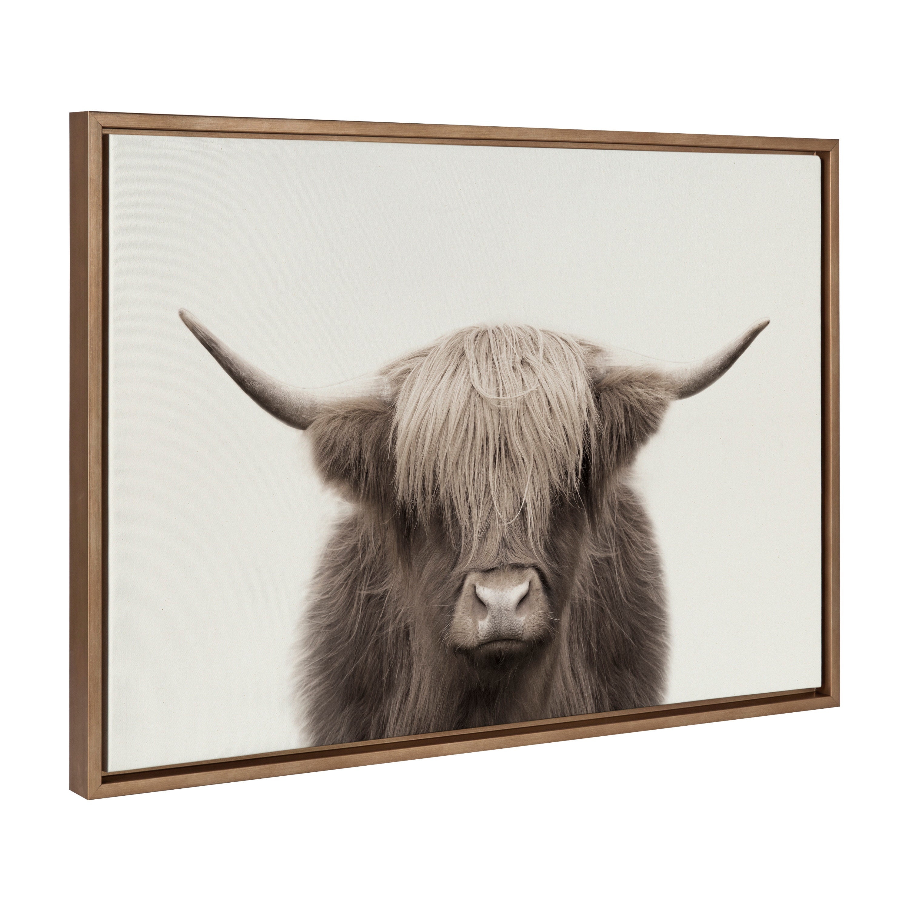 Sylvie Hey Dude Highland Cow Framed Canvas Art