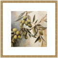 Olive Tree Framed Wall Art Print