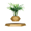 Magnetic Levitation Planter