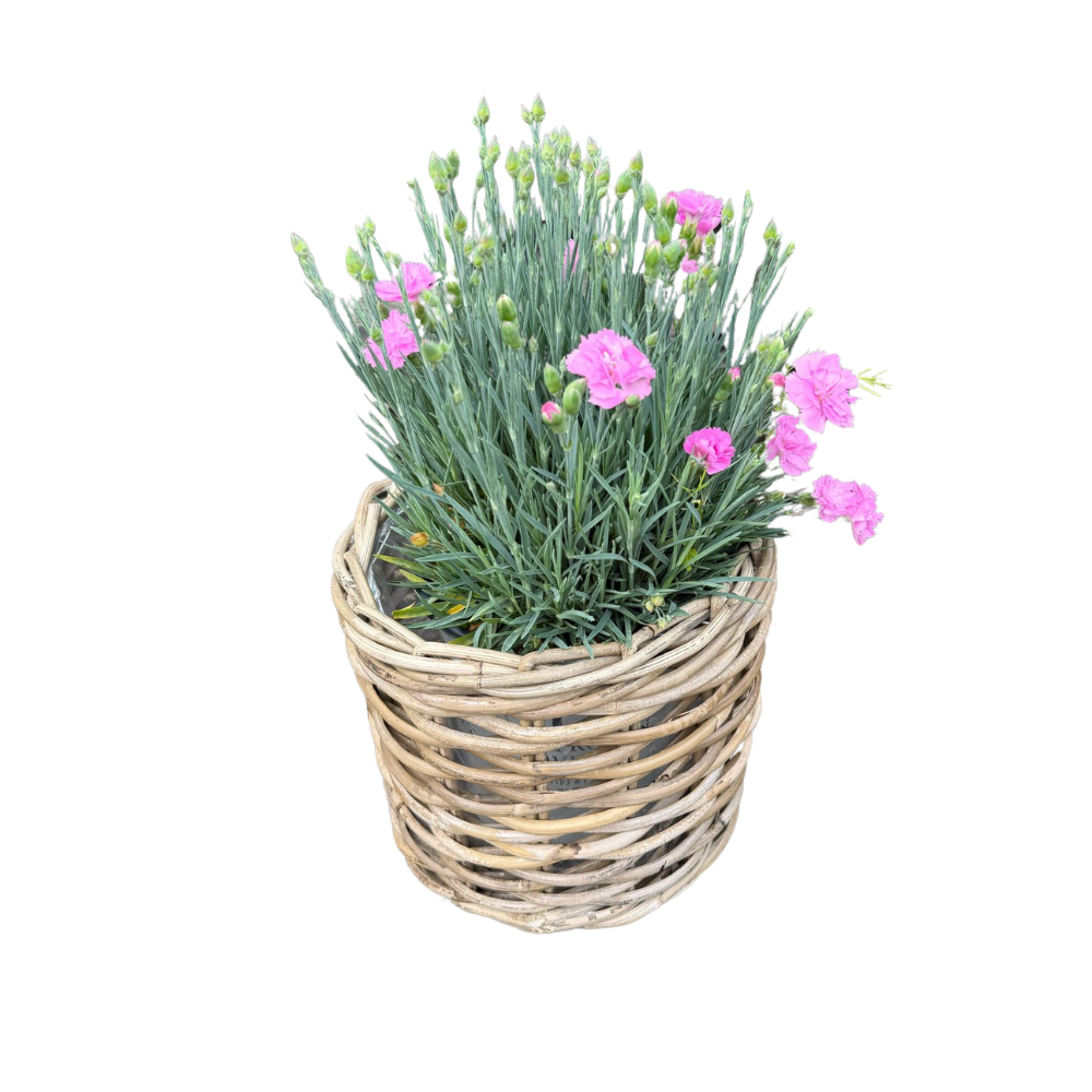 Rattan Planter Basket with Plastic Liner