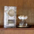 Haven sola flower diffuser