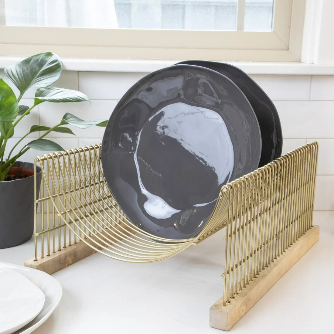 Leo Countertop Dish Drying Rack