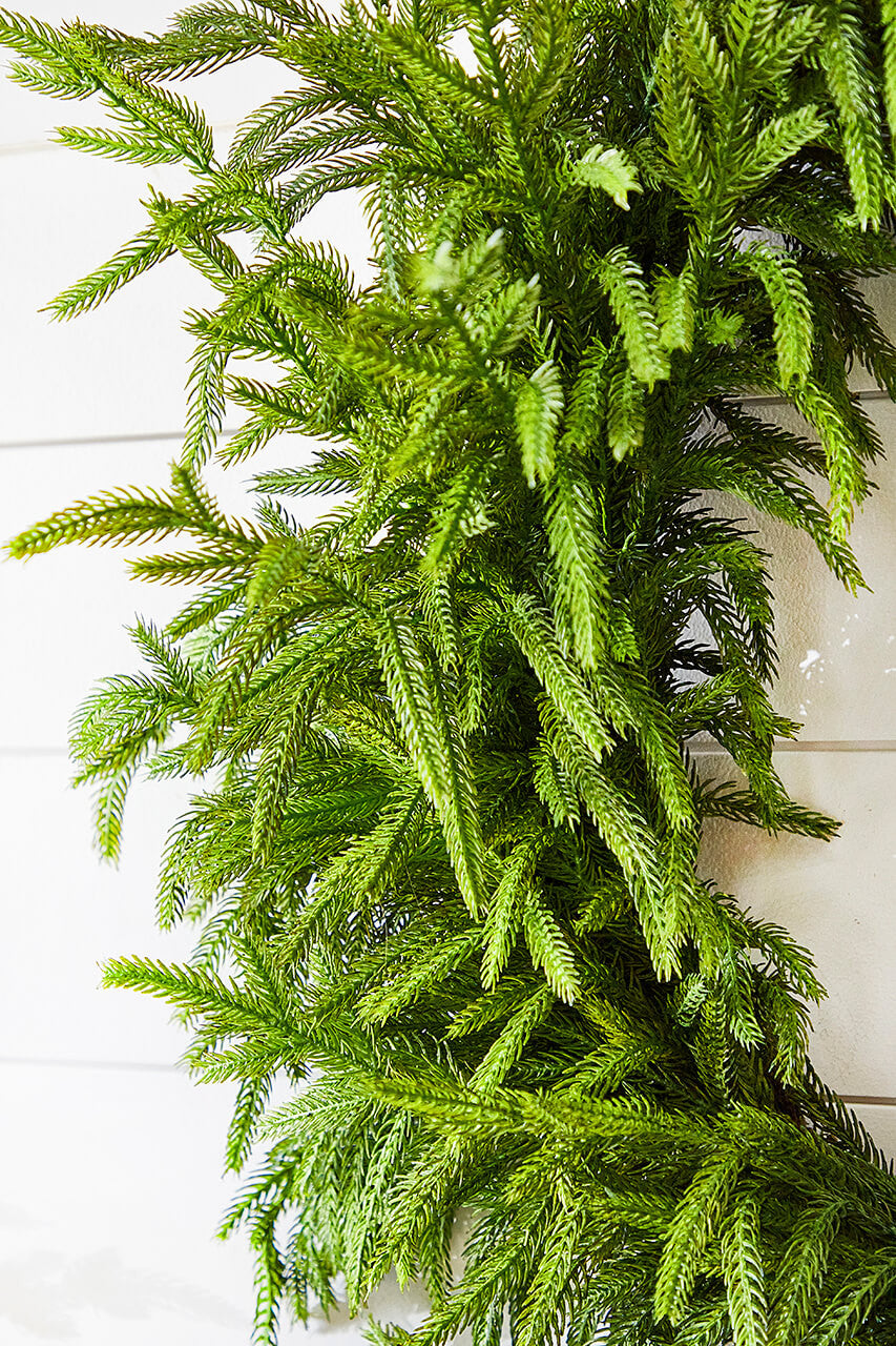Norfolk pine Christmas wreath