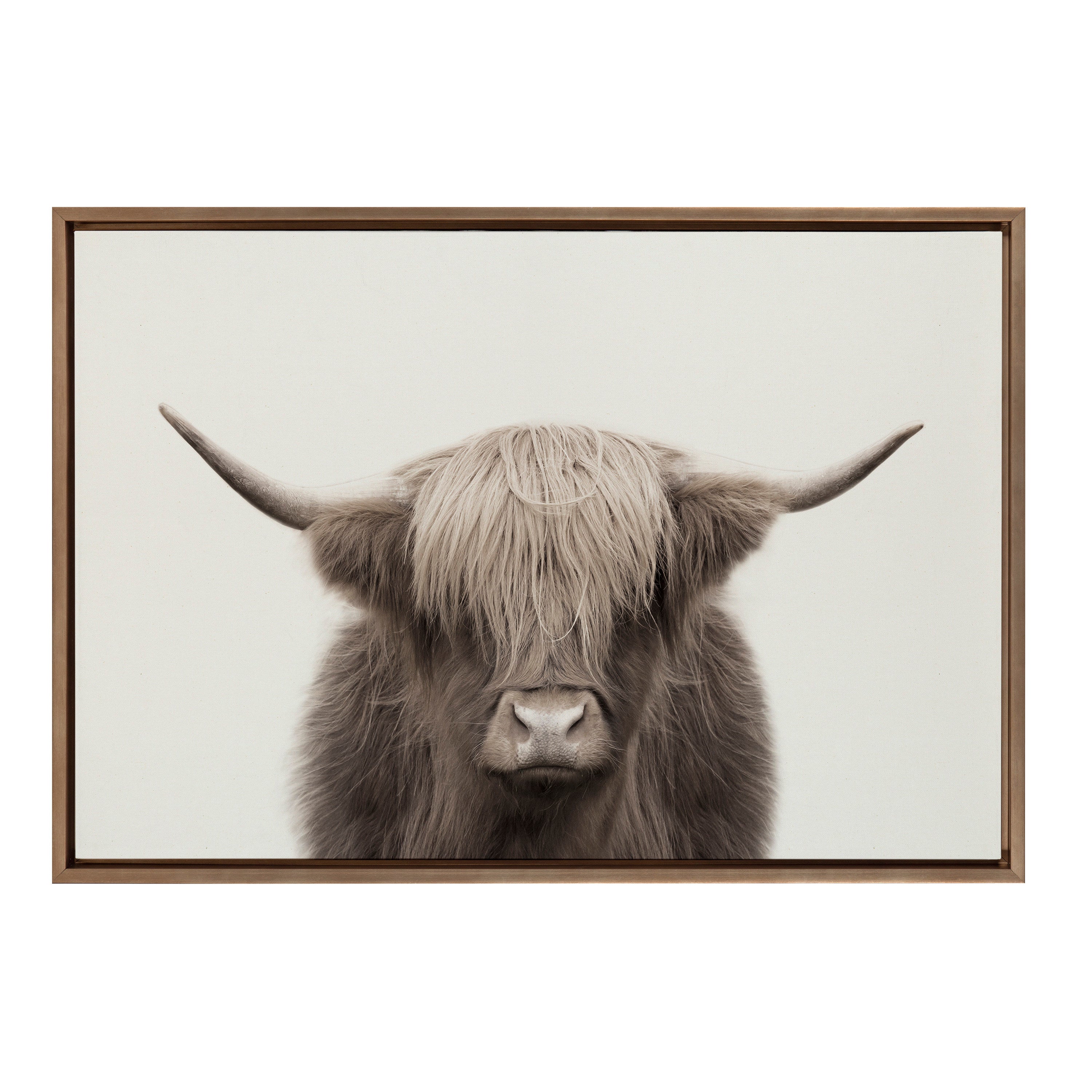 Sylvie Hey Dude Highland Cow Framed Canvas Art