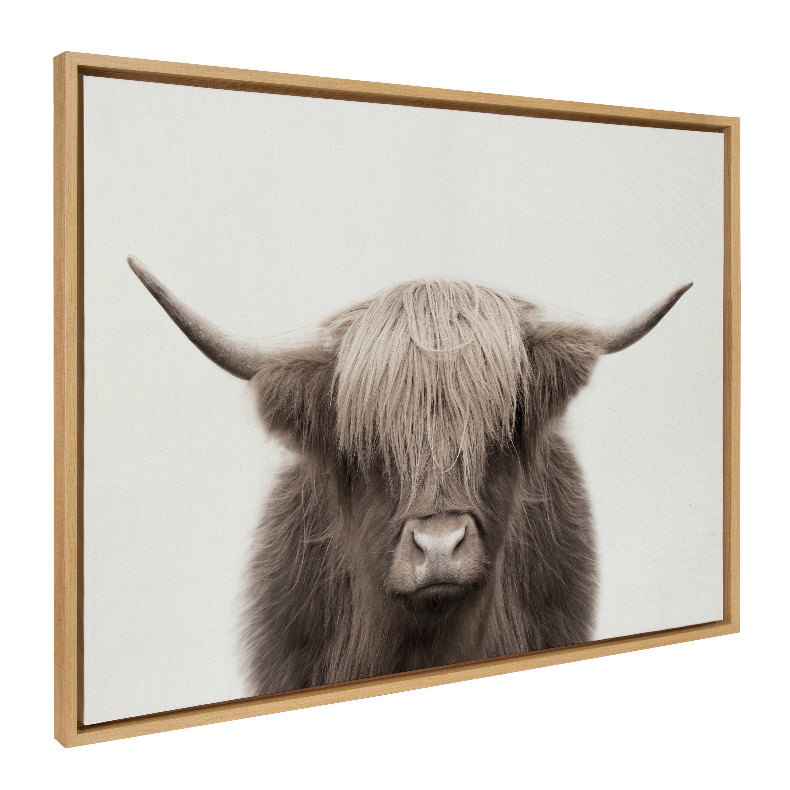 Sylvie Hey Dude Highland Cow Framed Canvas Art