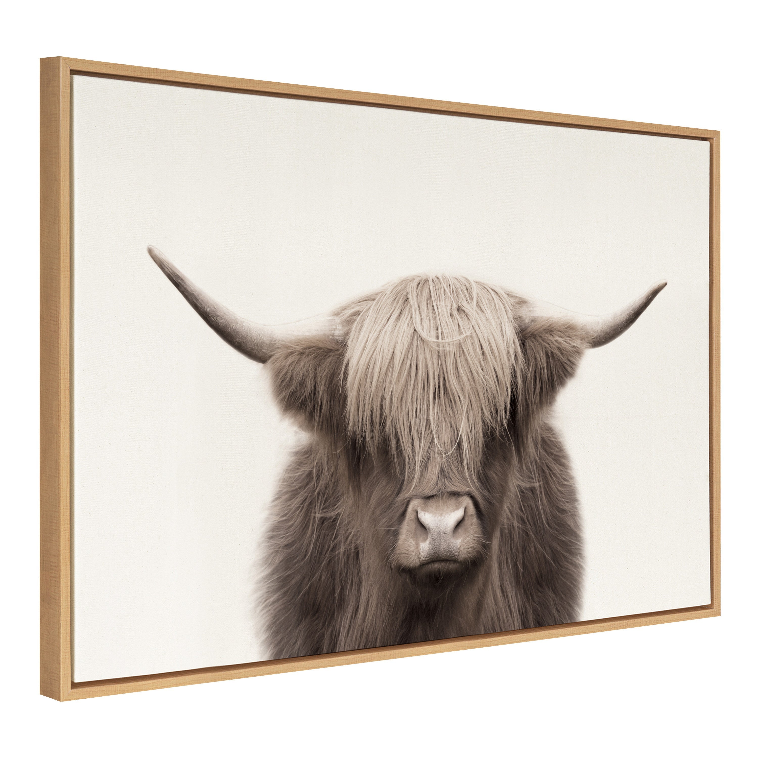 Sylvie Hey Dude Highland Cow Framed Canvas Art
