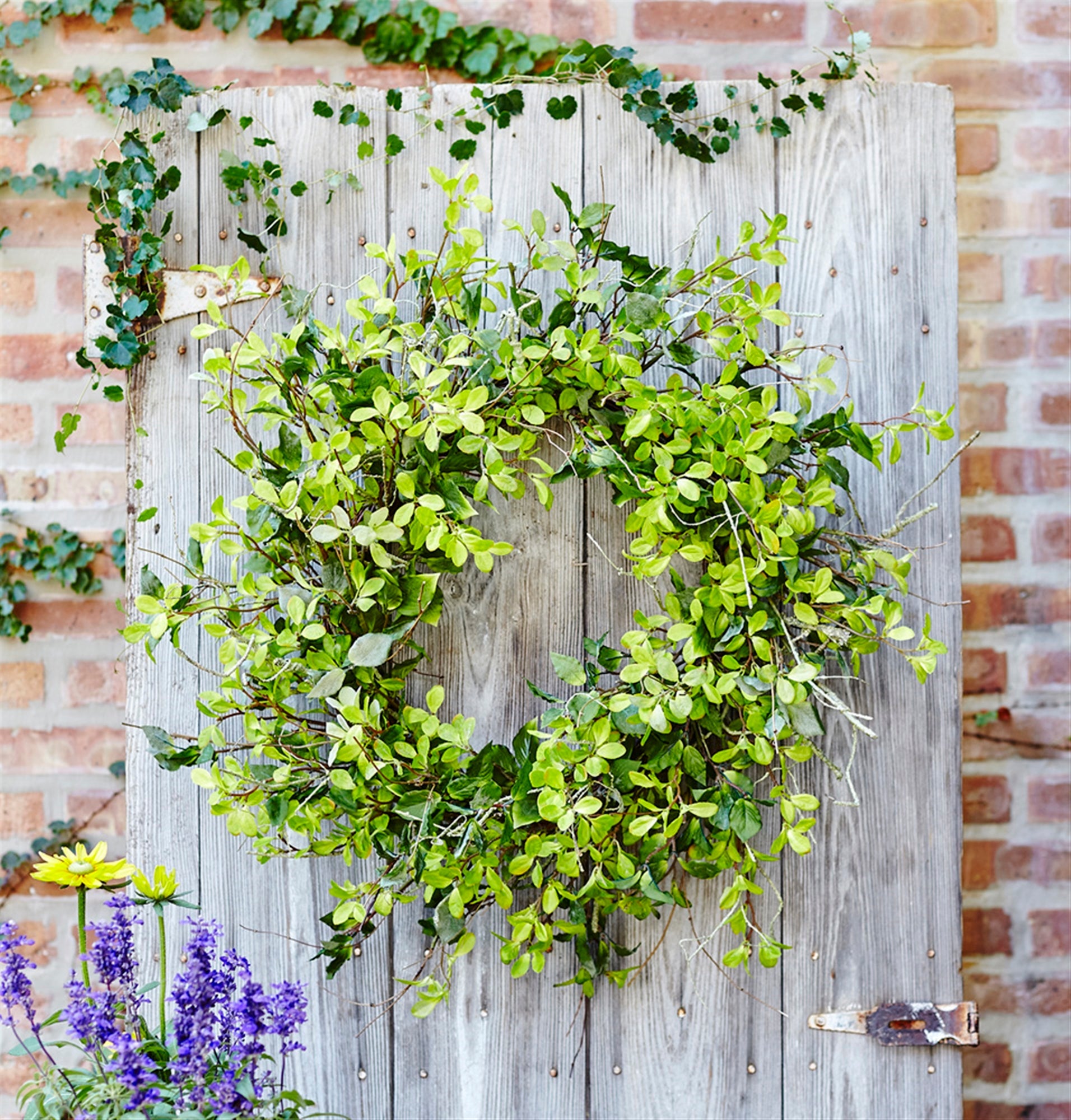Mixed green foliage wreath