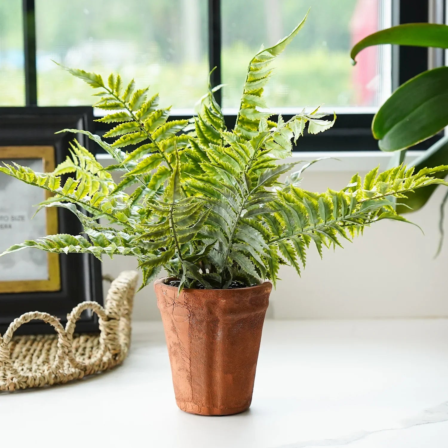Faux fern in terracotta pot