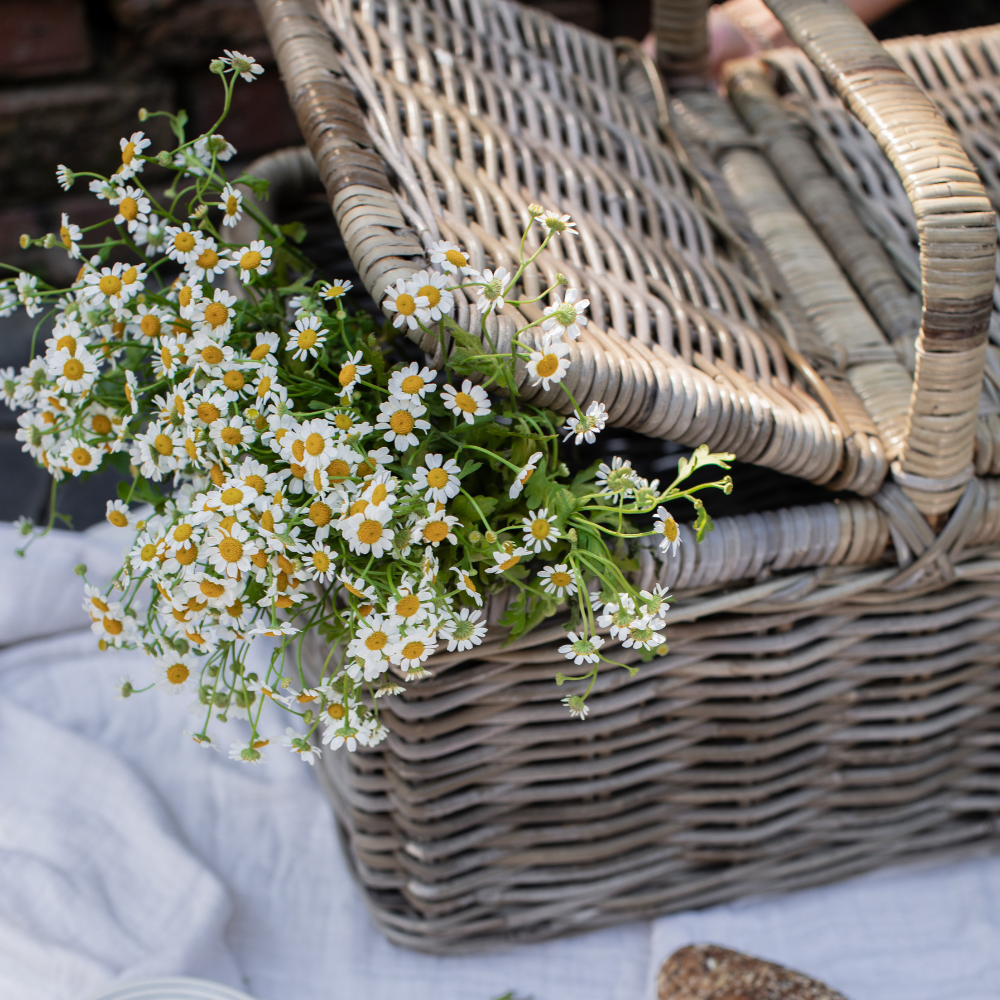 Classic Rattan Picnic Basket