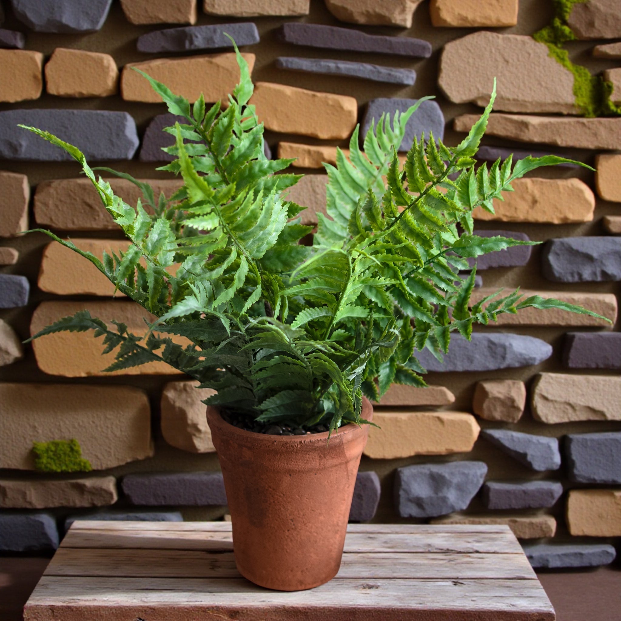 Faux fern in terracotta pot