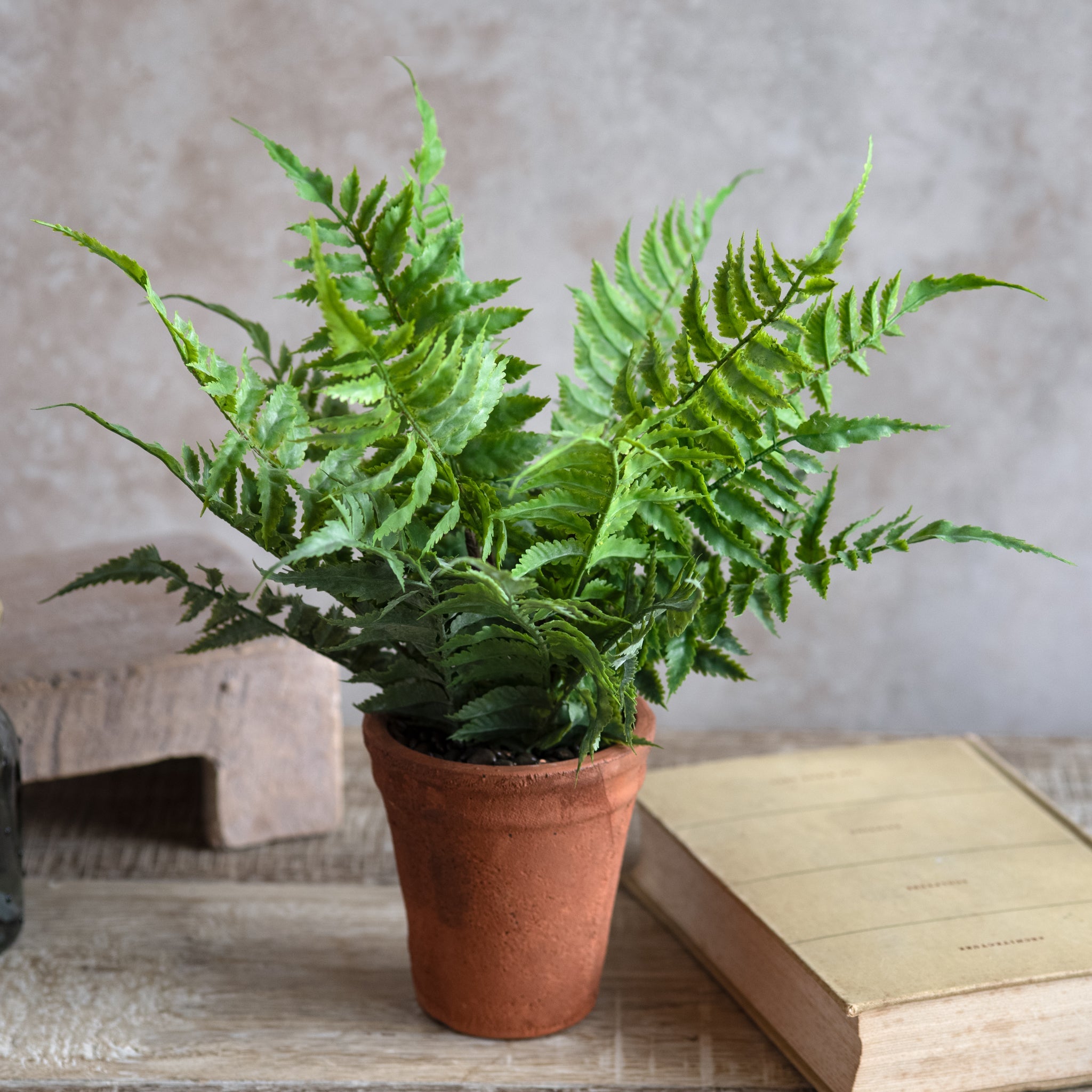 Faux fern in terracotta pot
