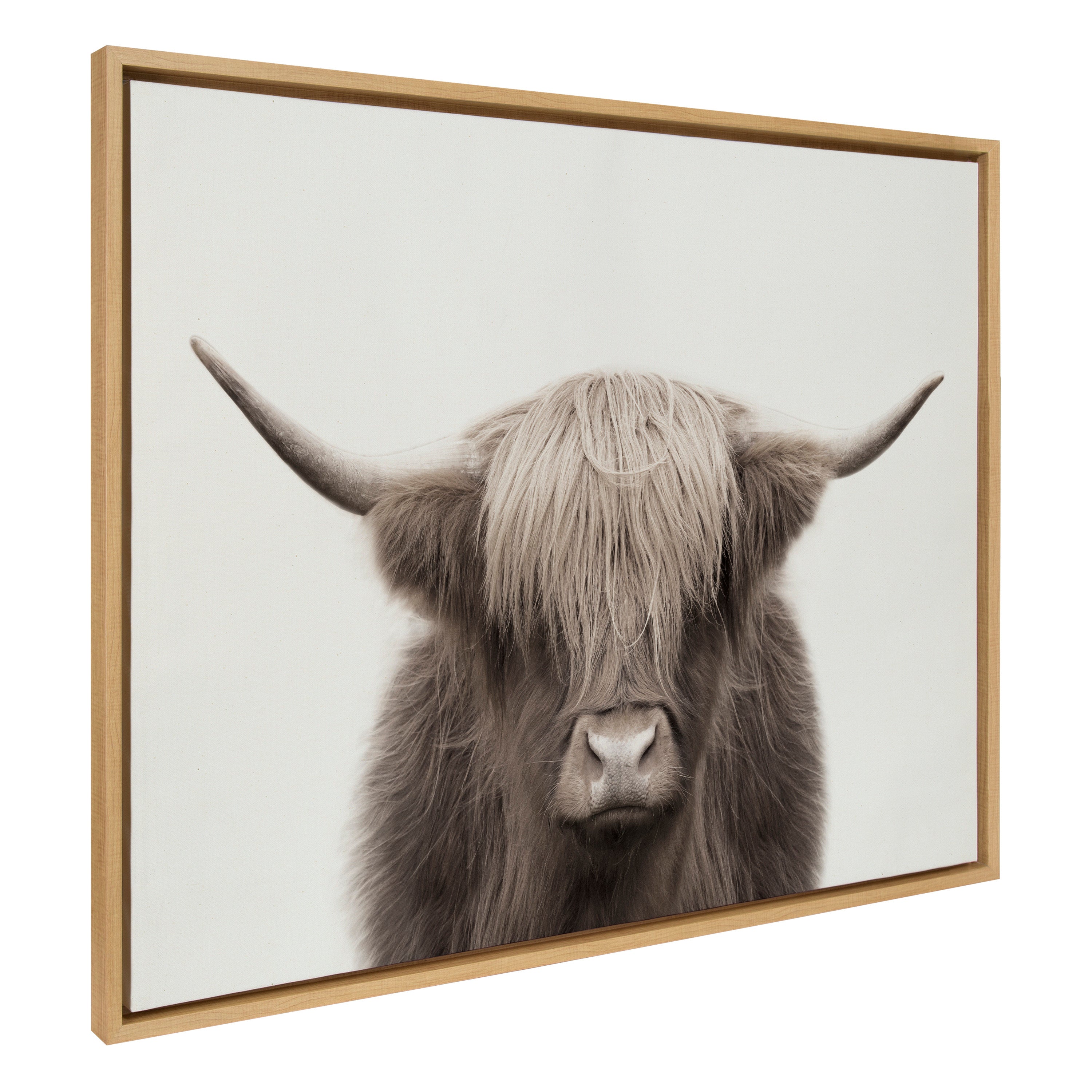 Sylvie Hey Dude Highland Cow Framed Canvas Art