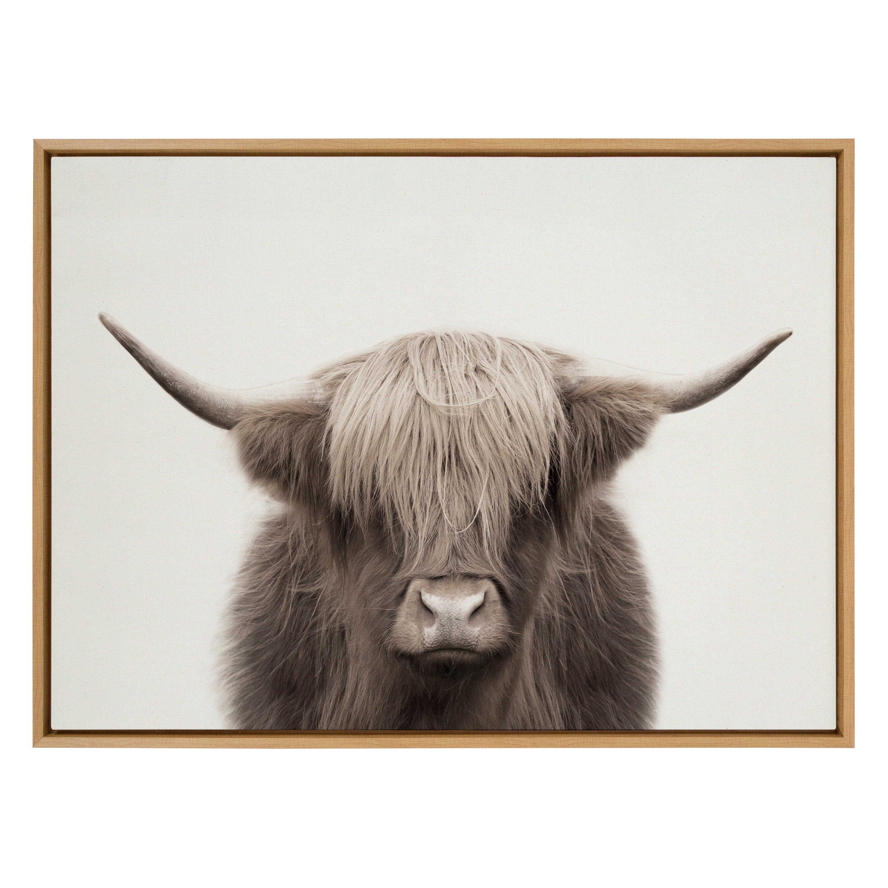 Sylvie Hey Dude Highland Cow Framed Canvas Art