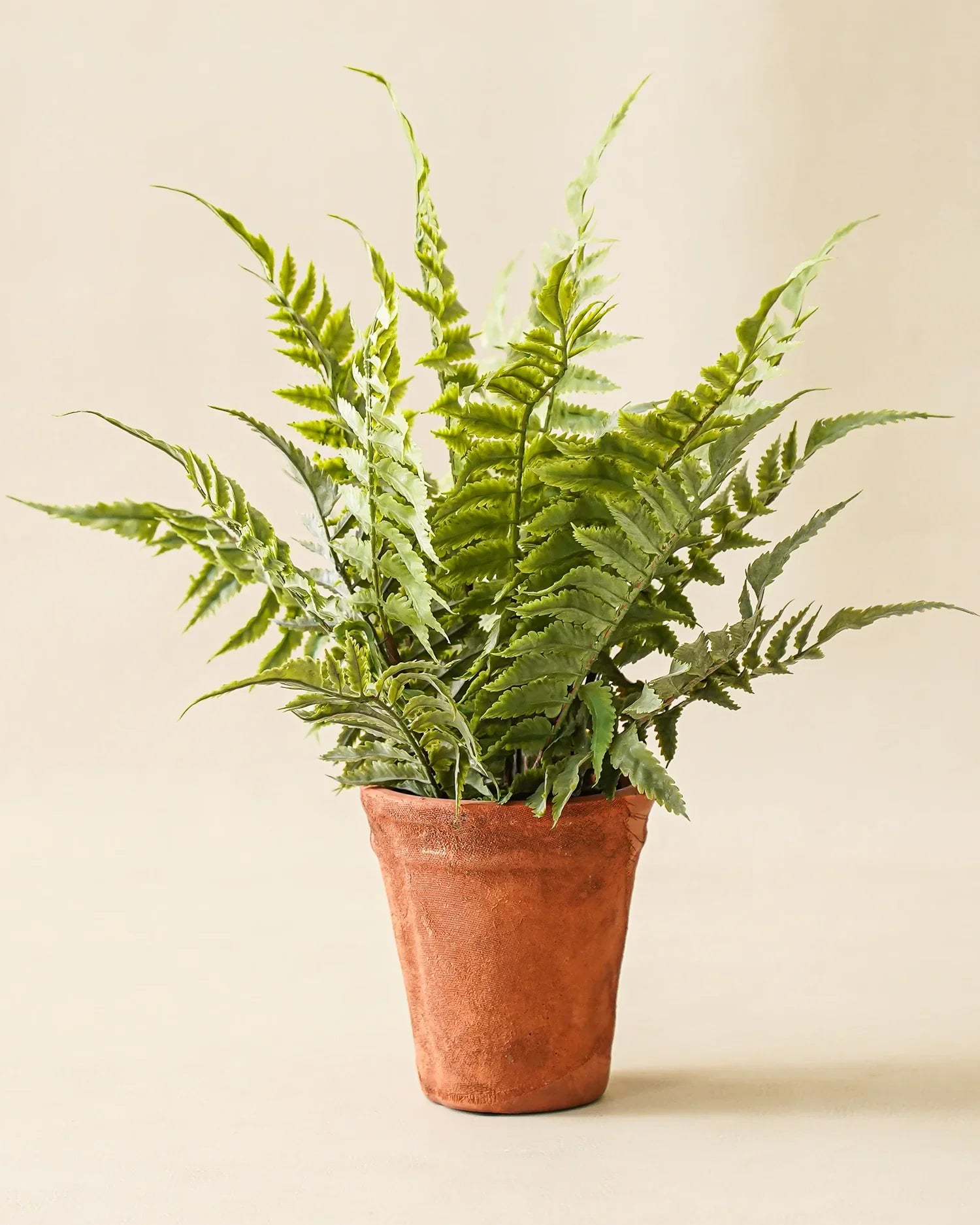 Faux fern in terracotta pot