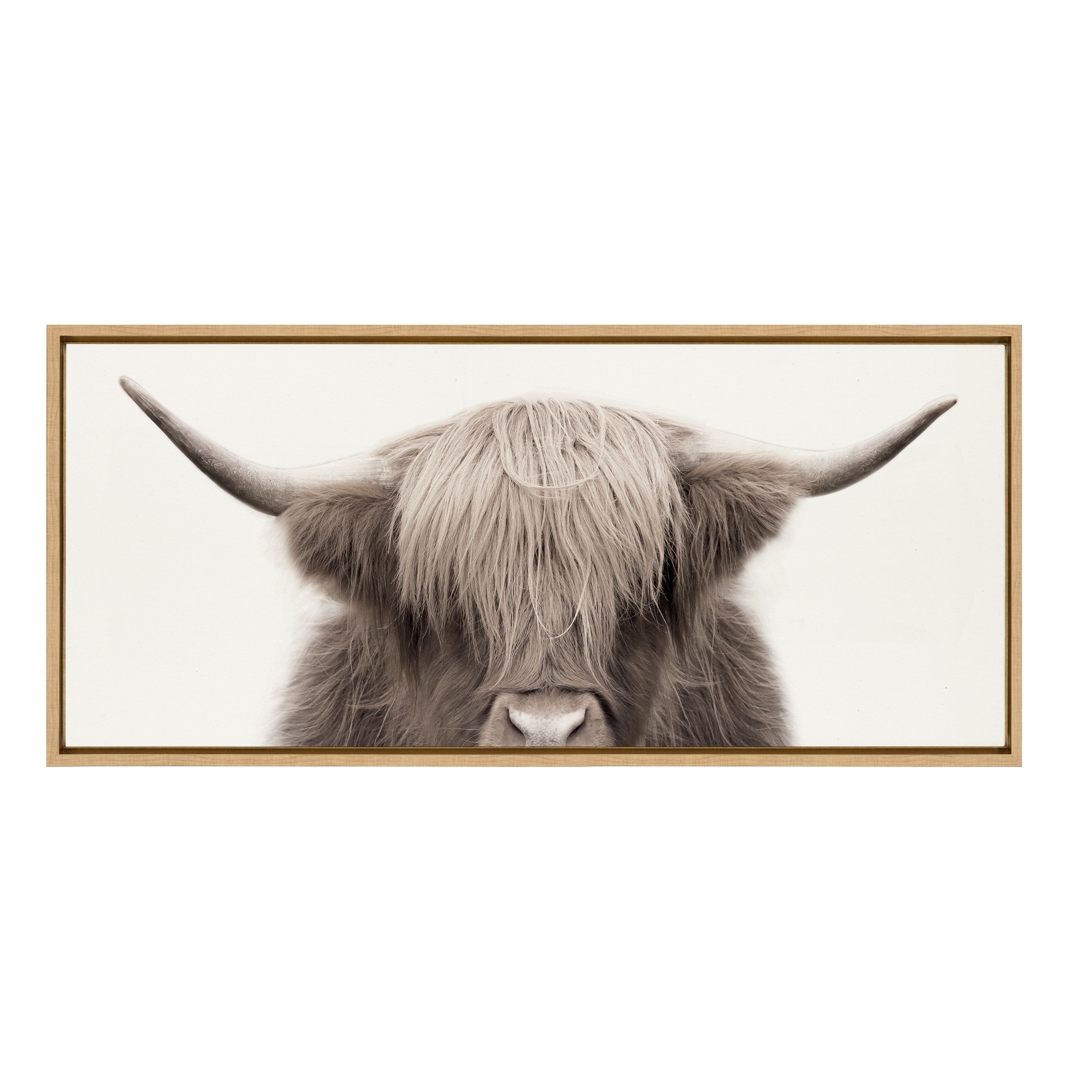 Sylvie Hey Dude Highland Cow Framed Canvas Art