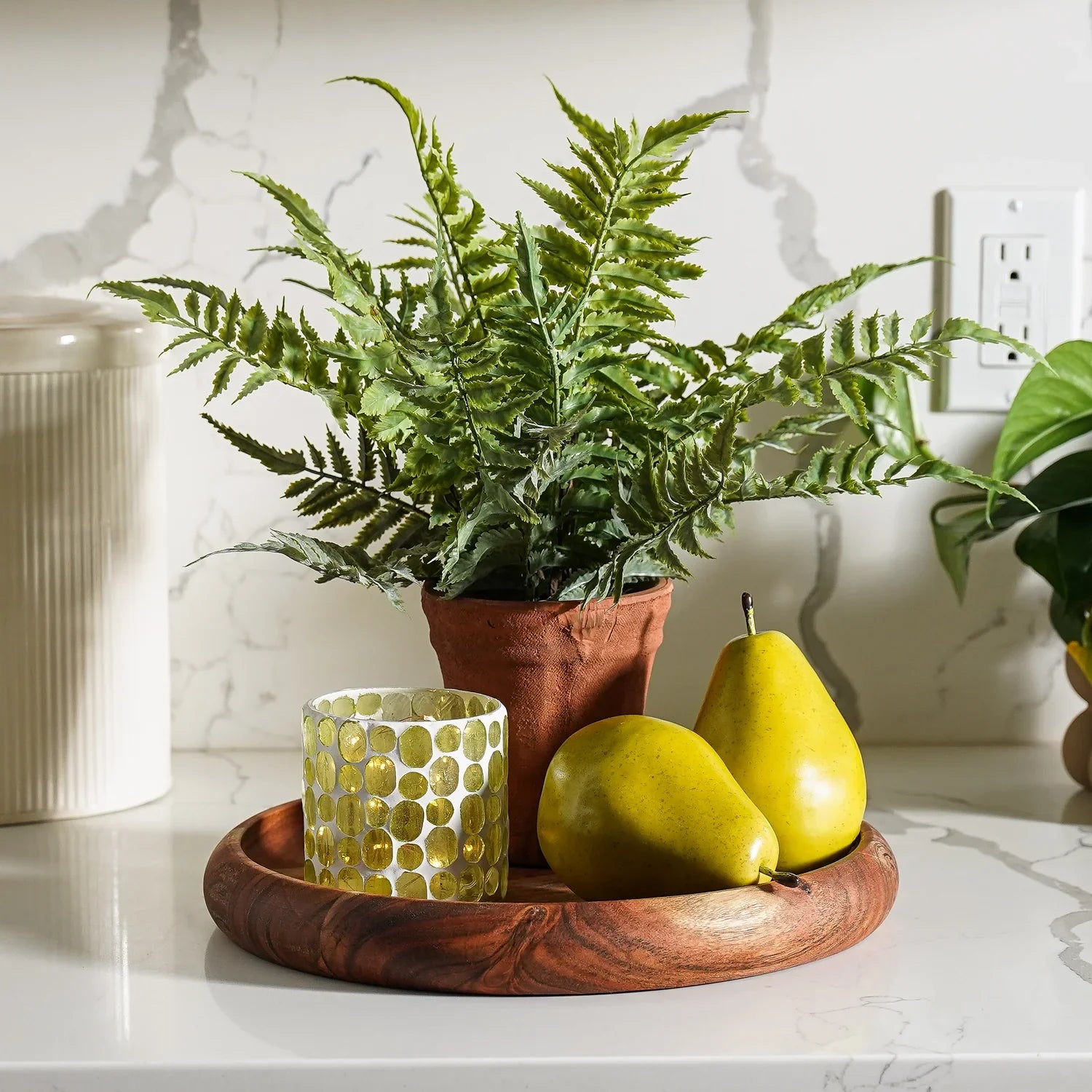 Faux fern in terracotta pot