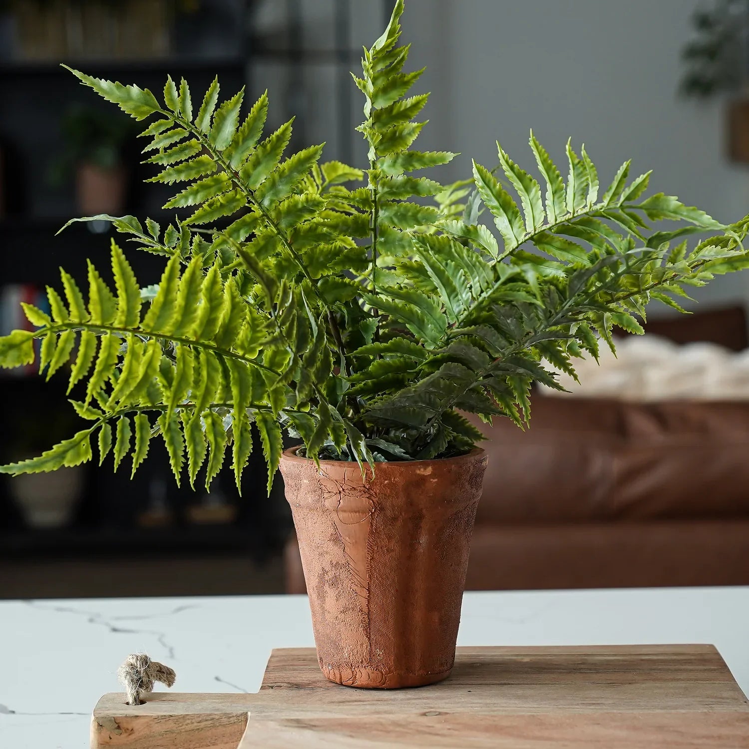 Faux fern in terracotta pot