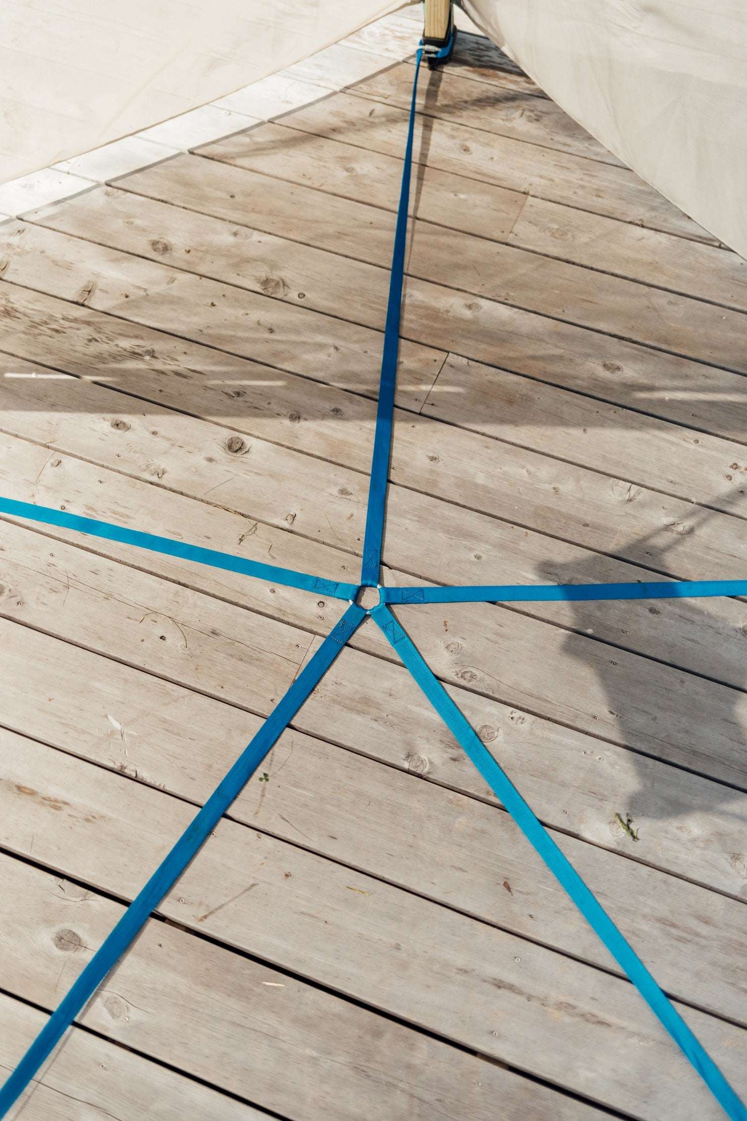 Bijou Nest