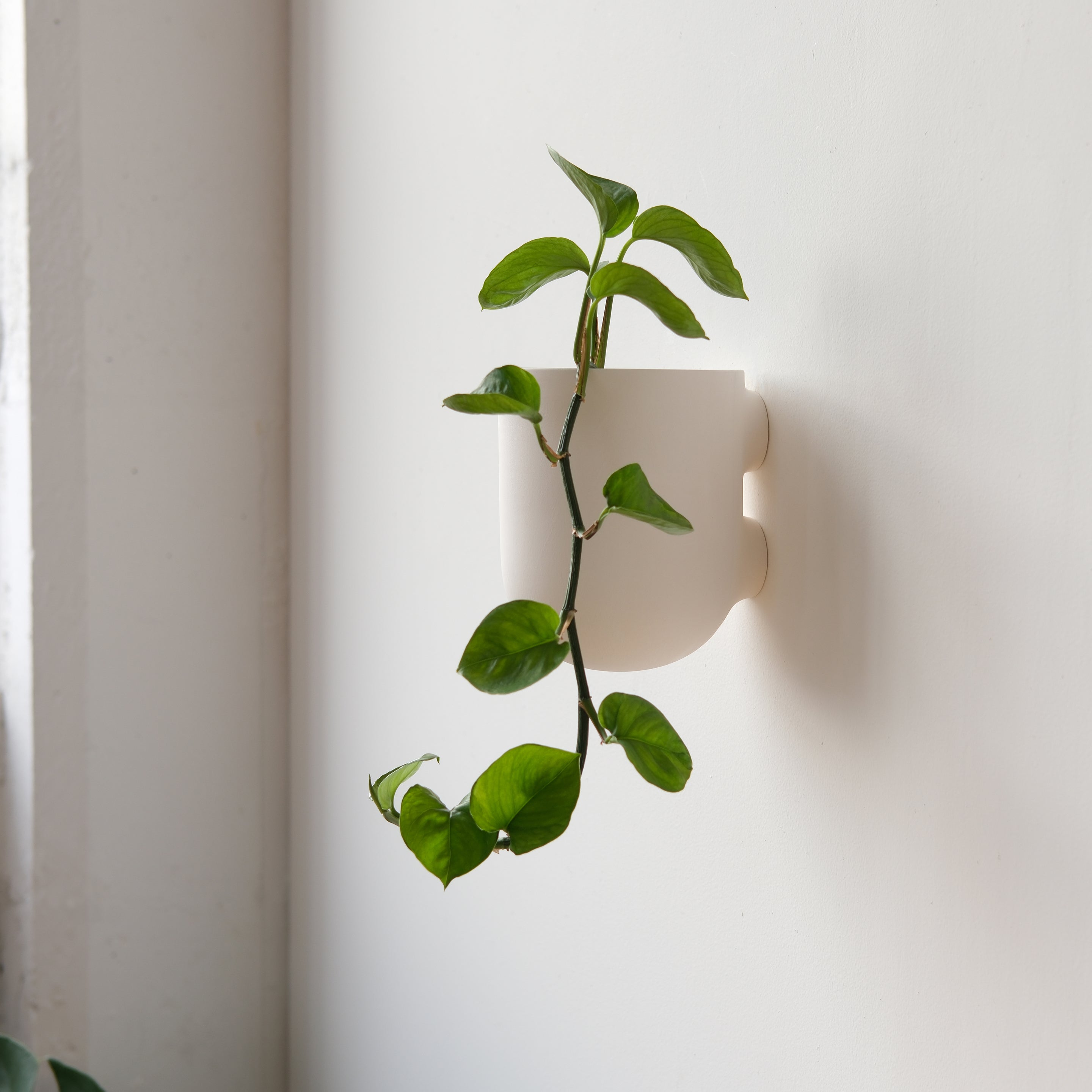 Bender Wall Planter
