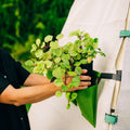 Bijou Bloom Hanging Planters