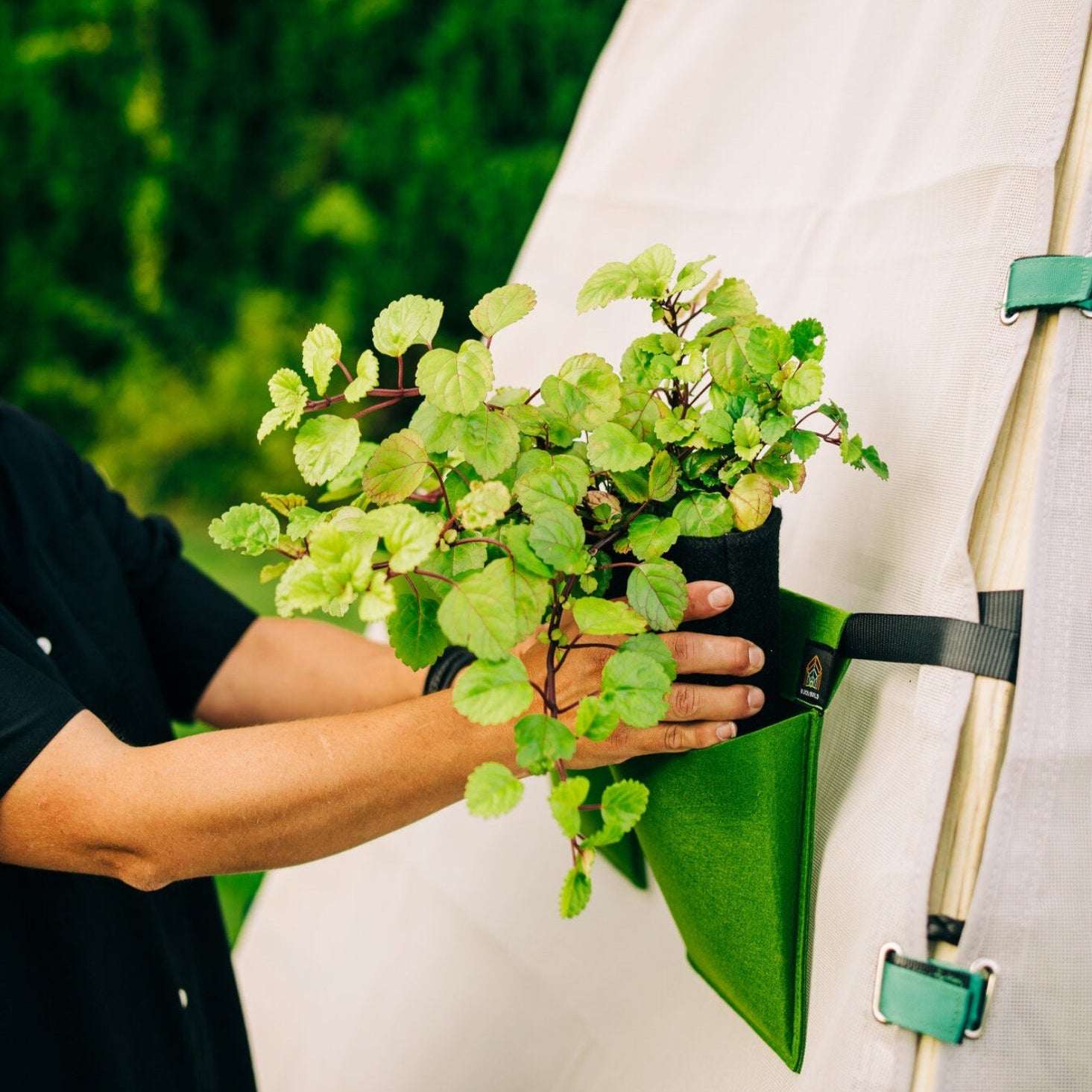 Bijou Bloom Hanging Planters