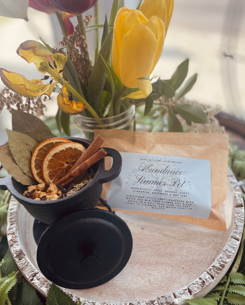 Sage & Stone Apothecary Abundance Simmer Pot Blend