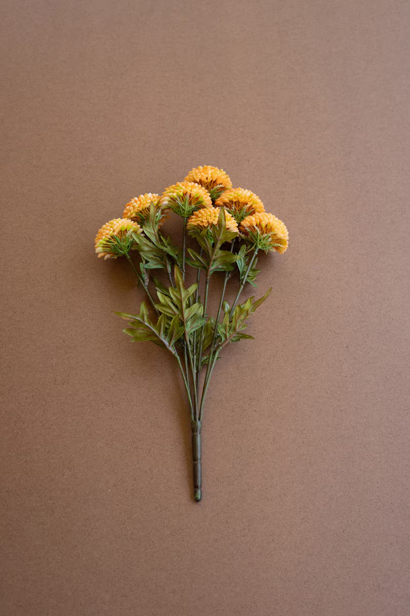 Yellow ball dahlia bundle