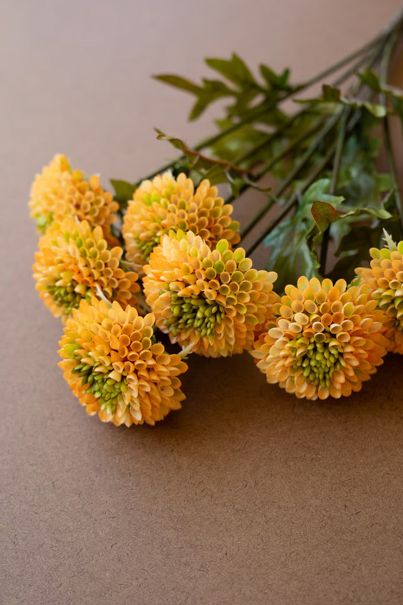 Yellow ball dahlia bundle