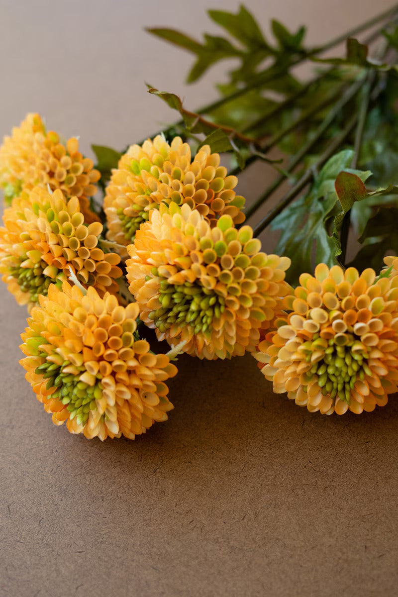 Yellow ball dahlia bundle