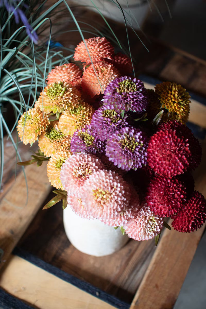 Yellow ball dahlia bundle