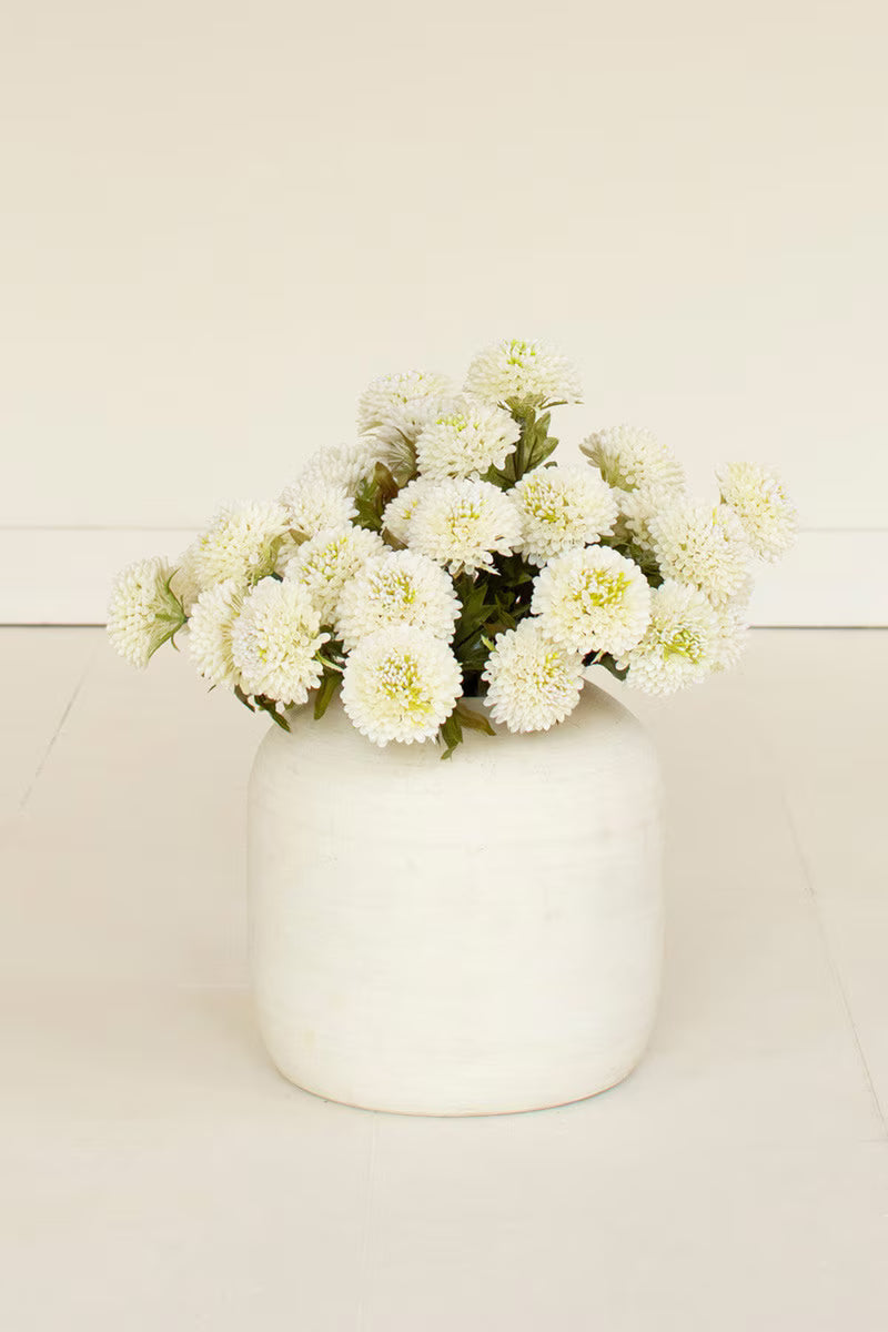 White ball dahlia bundle
