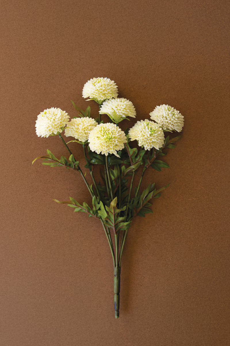 White ball dahlia bundle
