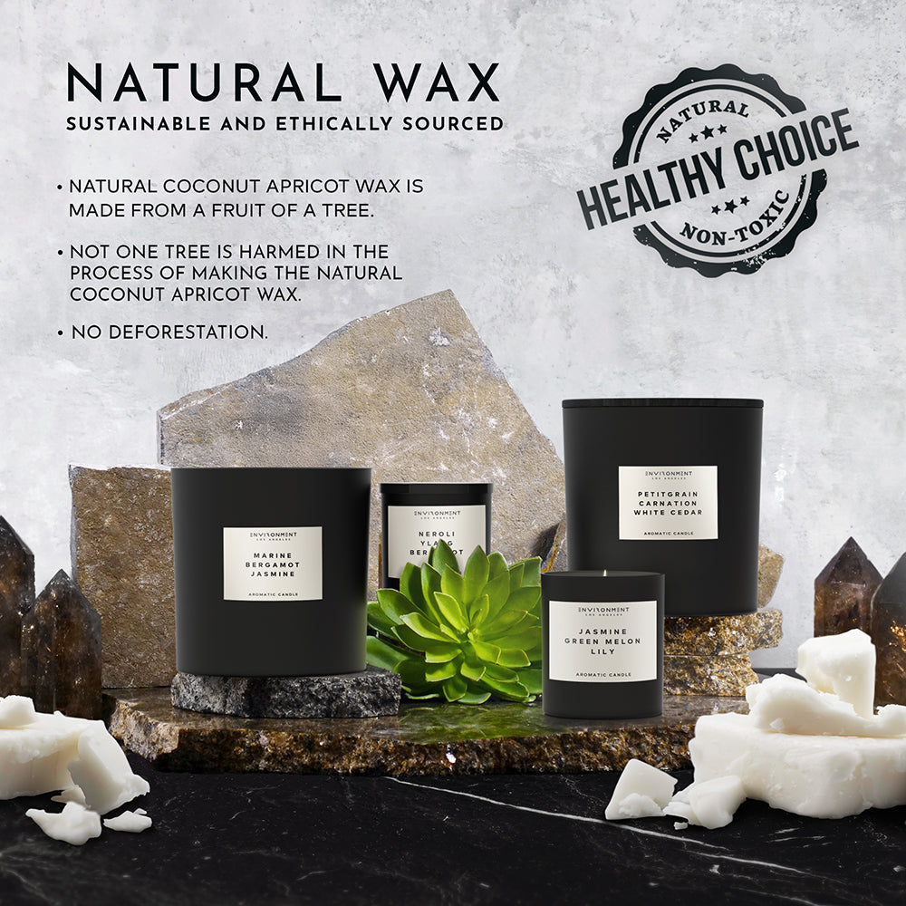 55oz Baies | Currants | Quince Candle (Inspired by Baies®)
