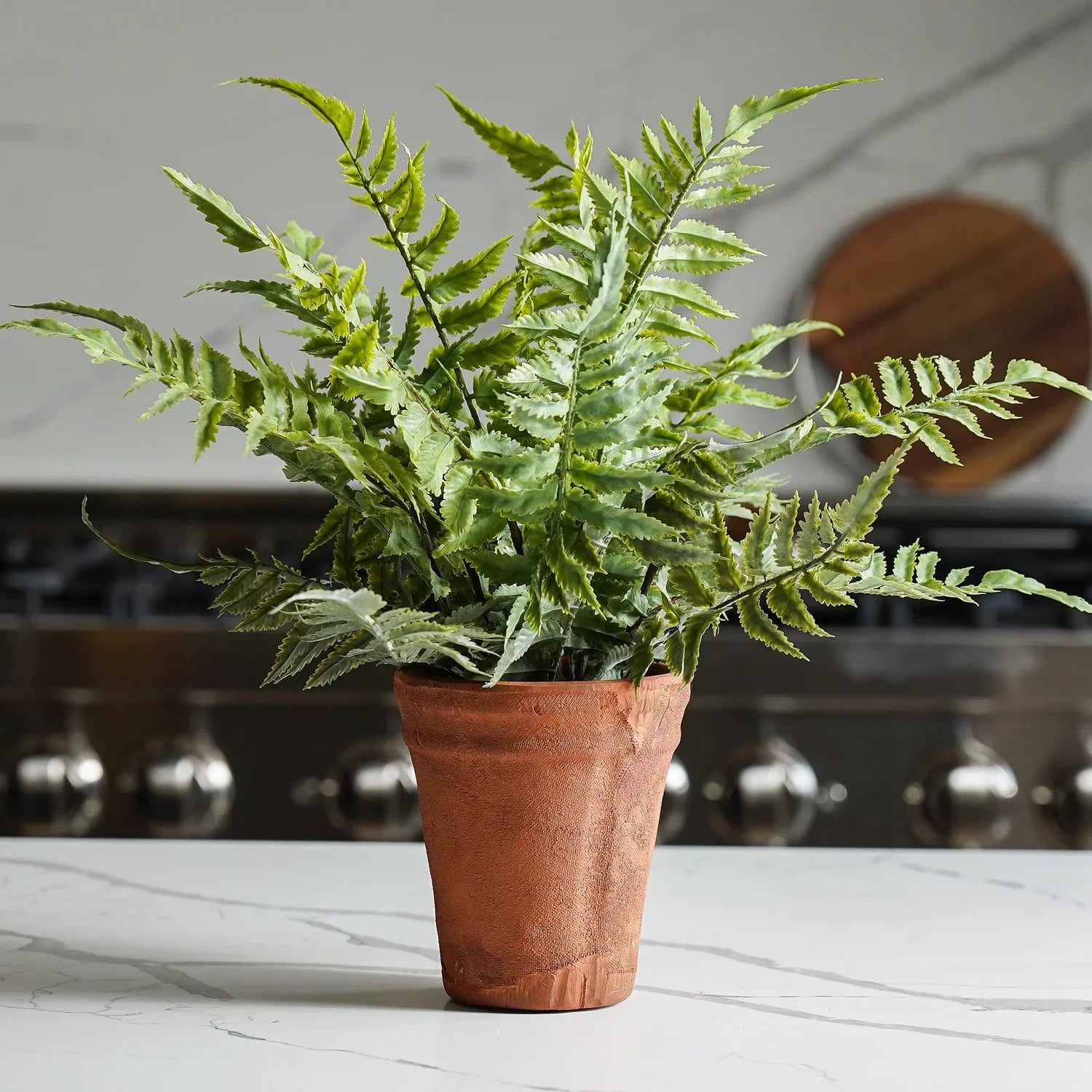 Faux fern in terracotta pot
