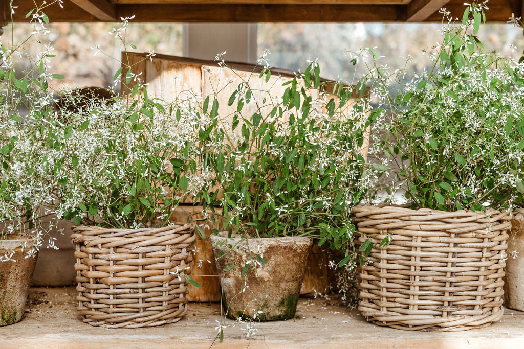 Rattan Planter Basket with Plastic Liner