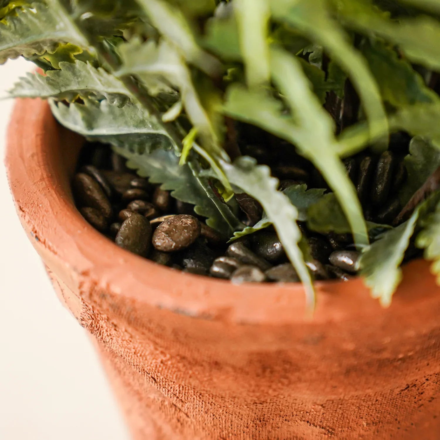 Faux fern in terracotta pot