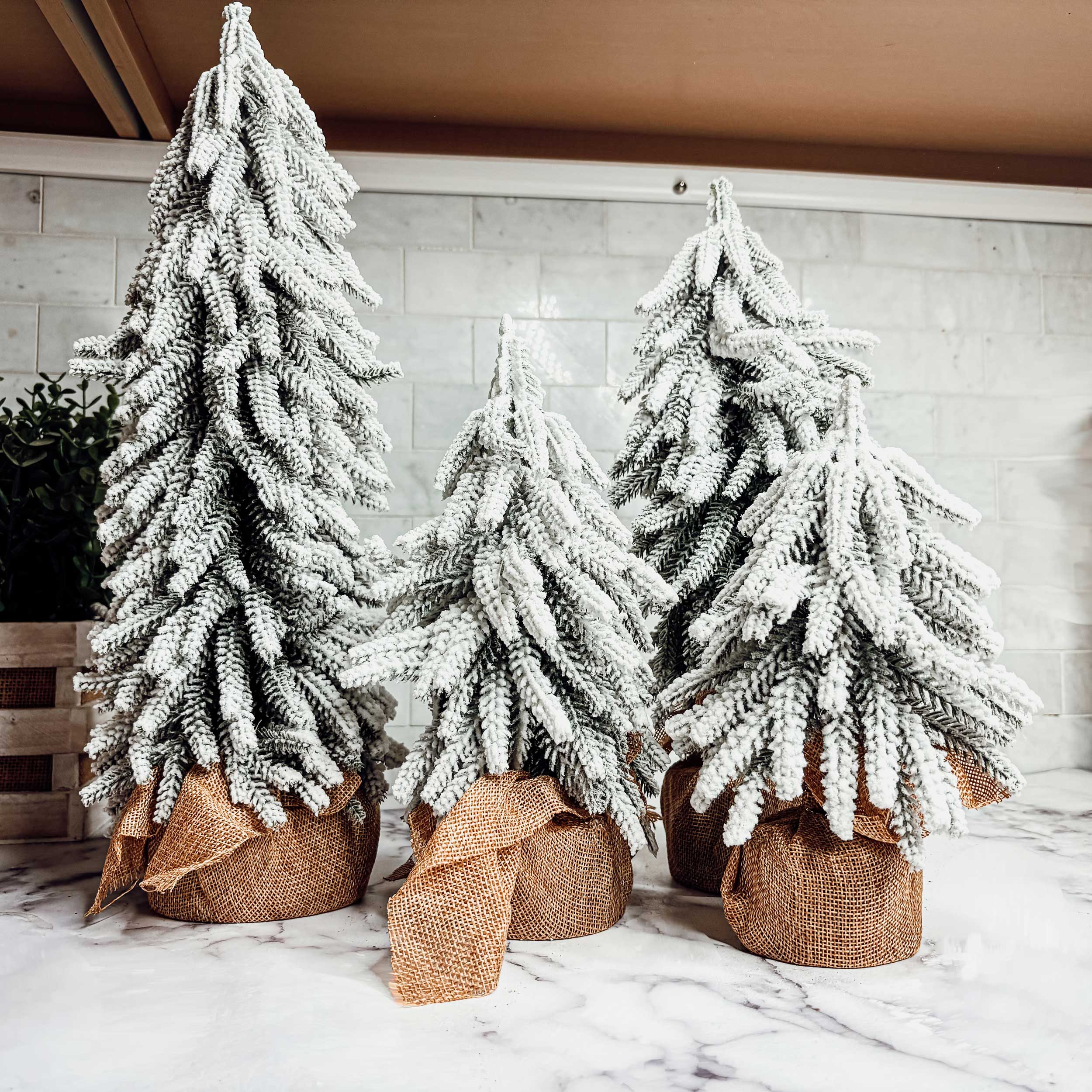 Snow Trees