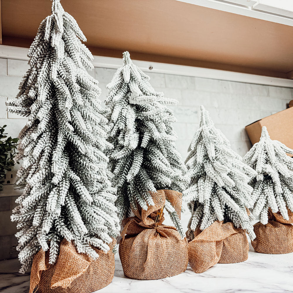 Snow Trees
