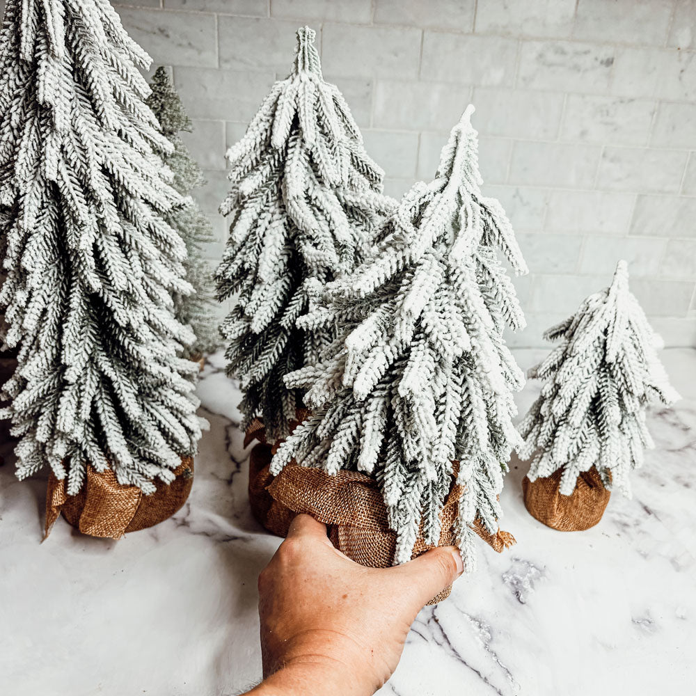 Snow Trees