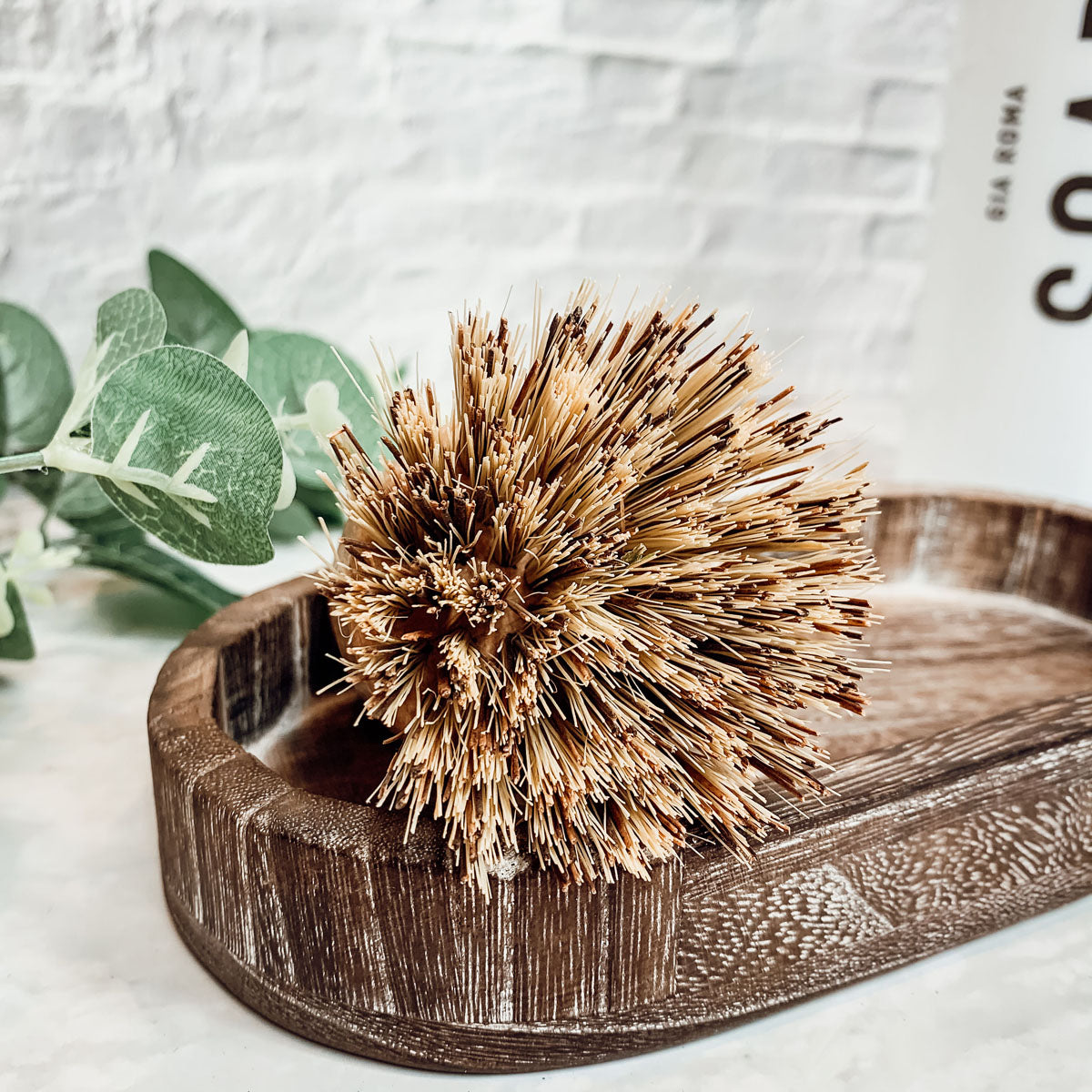 Natural Sisal Cleaning Brush