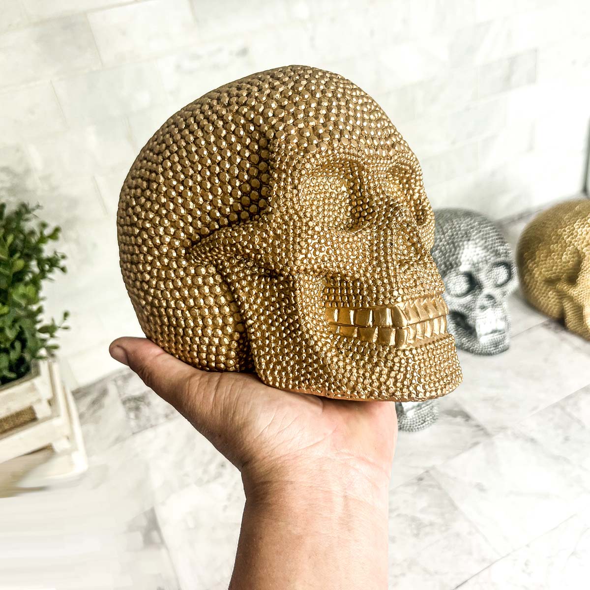 Skull | Silver or Gold