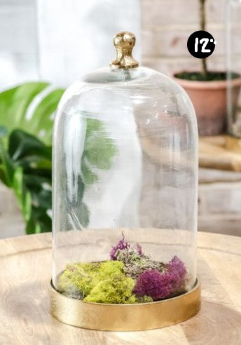 Glass cloche with gold base