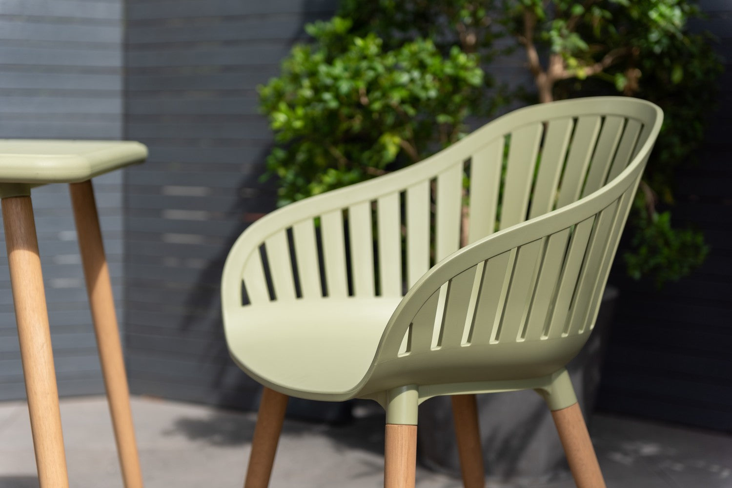 Nassau Sage Green carver armchairs set