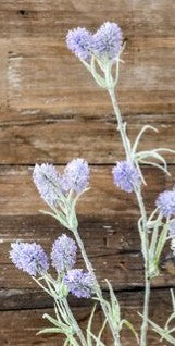 Puff Blossoms, Color Options