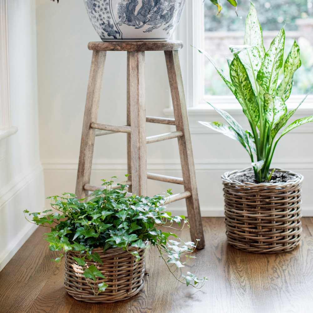 Rattan Planter Basket with Plastic Liner