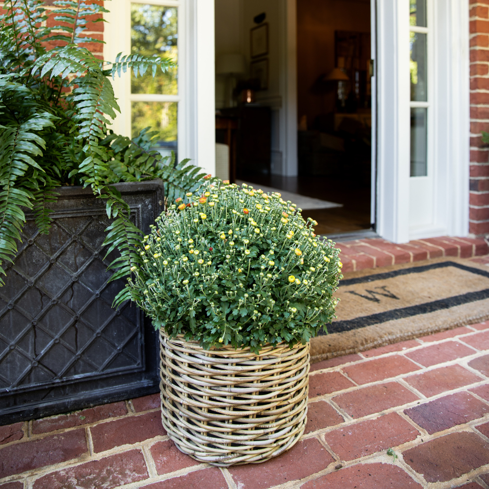 Rattan Planter Basket with Plastic Liner