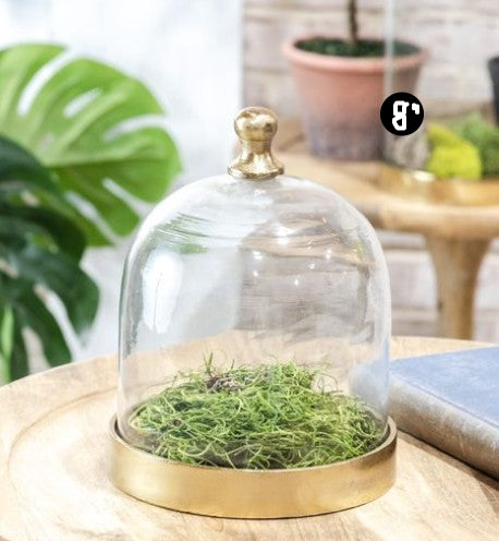 Clear glass cloche with gold-tone base in three sizes